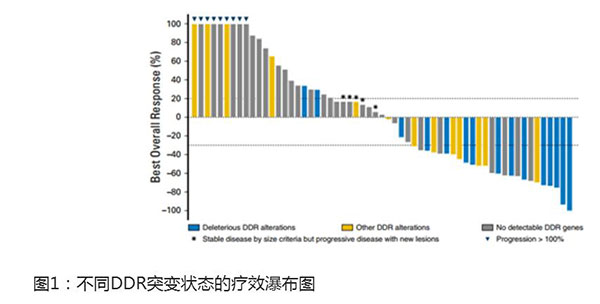 图片21.jpg