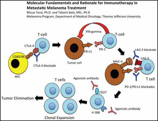 图片31.jpg