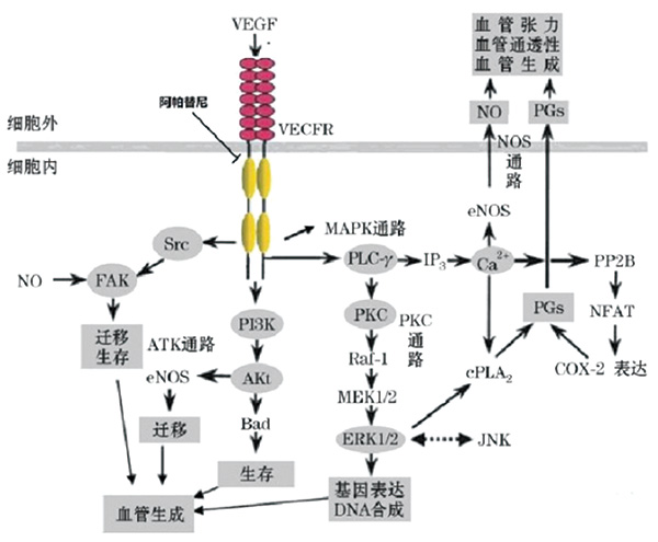 282-283期(完成版)-40.jpg 282-283期(完成版)-40.jpg