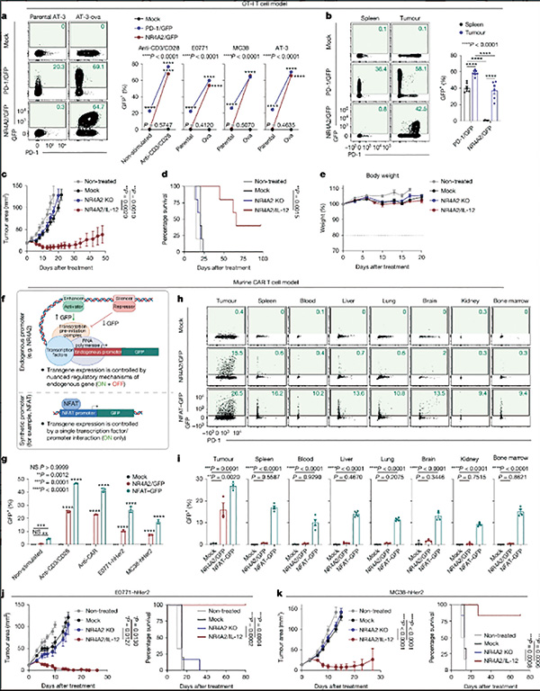 379-380期（完成）-69.jpg