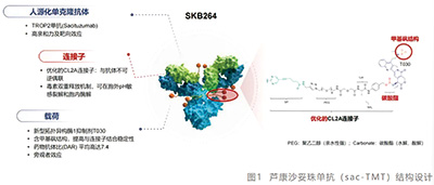385-386期(完成)-105--.jpg