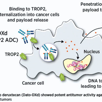 有可成药基因组改变的NSCLC 后线应用Dato-DXd安全有效