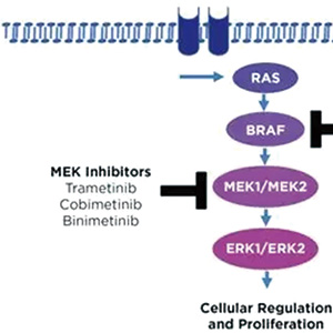 BRAF V600E突变转移性NSCLC 一线应用恩考芬尼联合binimetinib显著延长总生存